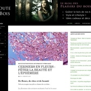 Un blog sur le bois et les plaisirs des 5 sens