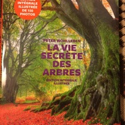 La vie secrète des arbres