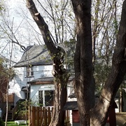 La clôture a souffert, reste le tronc. L'émondeur est à droite.