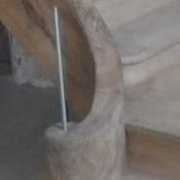 noyau de départ à volute spiralée