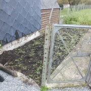 Une fois tout arraché, vide sidéral qu'il s'agit de combler