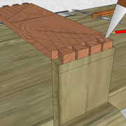 **4/** Tracé des queues femelles par superposition des queues mâles .
