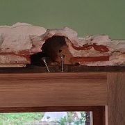 quelques points de scellement au platre