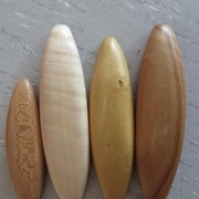 Platane, Charme ??, Buis, Olivier