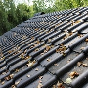 L'automne est déjà là !