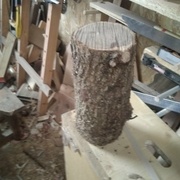 Une bûche du jardin