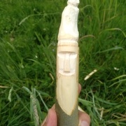 Ébauche d'un personnage dans une branche de frêne.