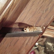 Deuximère essai: pas mieux. Le changement de coin n'y fait rien.