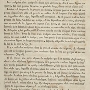L'Air du Bois