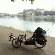 Sur le pont ..... d'Avignon ... ou presque