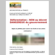 Attention à la déforestation française !