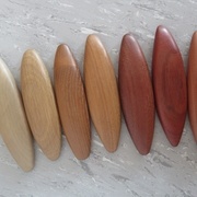 Houx, Chêne, Robinier, ??, ??, ??, ??