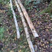 Après quelques coups de hache, voici trois beaux morceaux qui seront plus que suffisants.