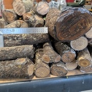 SUMAC DE VIRGINIE 2016