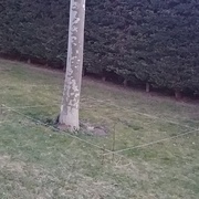 L'Air du Bois