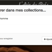 Fenêtre "Enregistrer dans mes collections..."