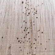 des trous rectangulaires via la pointe (les quelques trous circulaire proviennent du test avec une vis)