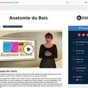 MOOC Anatomie du bois
