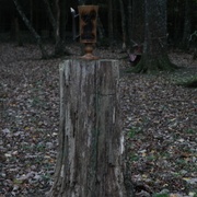 Sur son arbre d'origine