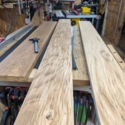 Une idée pourquoi le chêne à un tel aspect ?