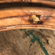 trous : avec du rebouche trous ?