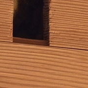 Environ 7x4cm