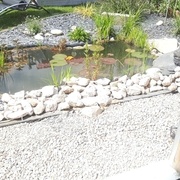 La vue de la mare depuis l'établi