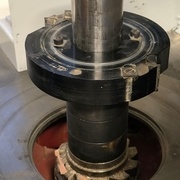 L'arbre au plus haut, pour la démo