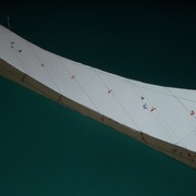 traits a reporter sur la face