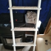 moquette sur les barreaux