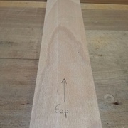 Selon le motif lu sur la pièce nous pouvons déduire le sens du bois lorsqu'il était en forêt