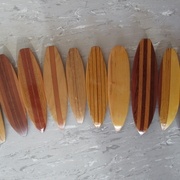 Châtaignier, 3 exotiques, exo + orme + pêcher, merisier + châtaignier, chênes + châtaignier, Châtaignier, Cognacier,  exotiques, mélange, hêtre + merisier