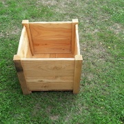 Juste le pot de face