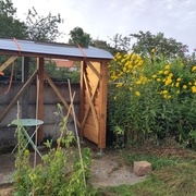 Et un deuxième côté de fait, les tôles servent à protéger du soleil qui frappe fort cette année