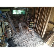 Atelier bois de la ferme microbiopunk