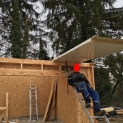 On pourrait croire à une position de repos mais non !! Il  a poussé ...... fort ....... les plaques :)