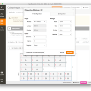 Panneau de configuration du papier et de la grille