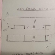 Détail des chevrons en queue d'aronde : ça existe en vrai ??