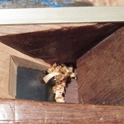 Je peux vous dire que ça bourre bien ! :(