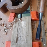 Premiers coups de ciseau