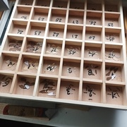 Casier fabriqué pour l'occasion