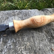 Lime Nicholson, manche ne pin sylvestre