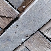 Traverse avec traces de scie (de long?)