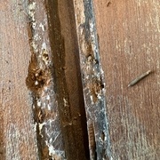 Bonjour les dégâts !