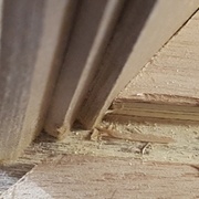 Découpe d'onglet pour l'isorel extérieur et droite, en escalier pour les 2 autres