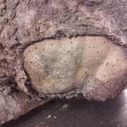 Ça doit pas être étanche