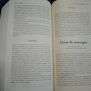 L'Air du Bois