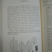 L'Air du Bois