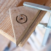 scie cloche dans une chute de chutes