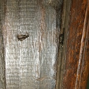 L’aspect des clous forgés en place